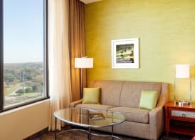 Holiday Inn AUSTIN-TOWN LAKE by IHG 4
