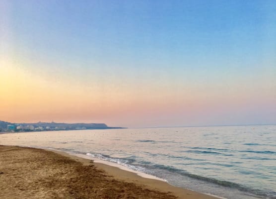 Bivalvia Beach Plus 1