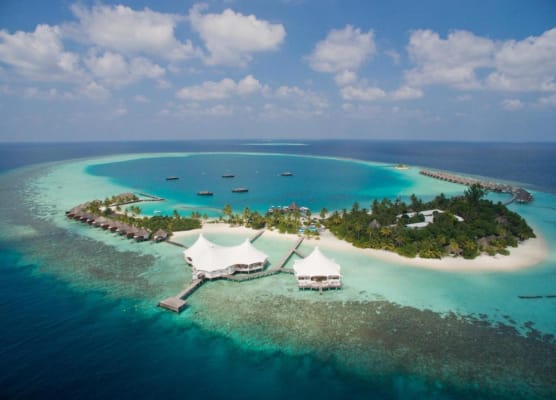 Safari Island 1