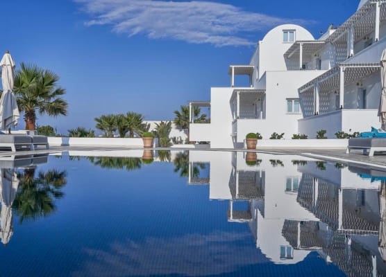 Petri Suites 1