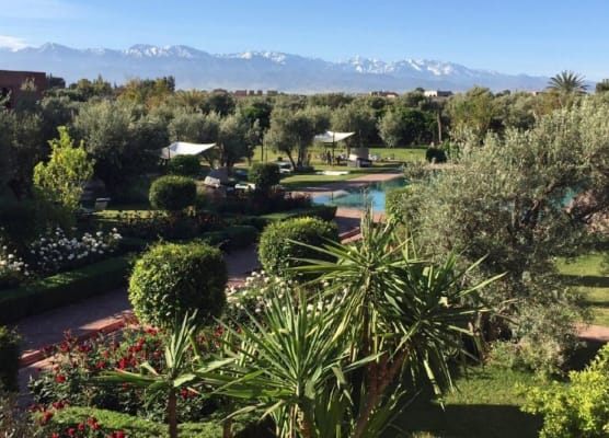 Les Jardins De Zyriab 1