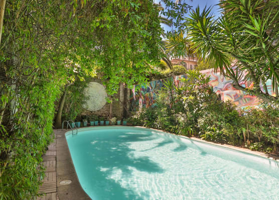Le Windsor, Jungle Art Hotel 1