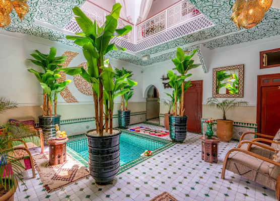 Riad Les Orangers du Desert & Spa 1