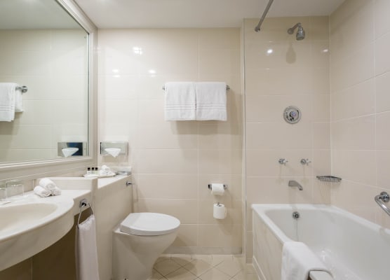 Castletroy Park Hotel 1