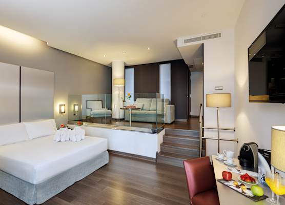 Sercotel Coliseo 1