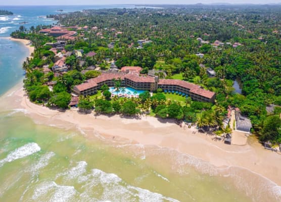 The Palms 1