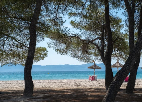 Apartamentos Caprice Playa de Alcudia 1