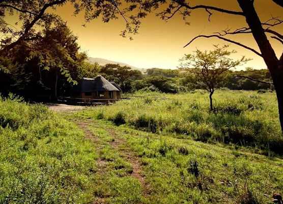 Caracal Lodge 1