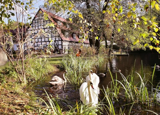 Springbach-Mühle Belzig 1