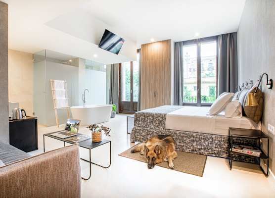 Casa Lirio by Blossom Hotels 1