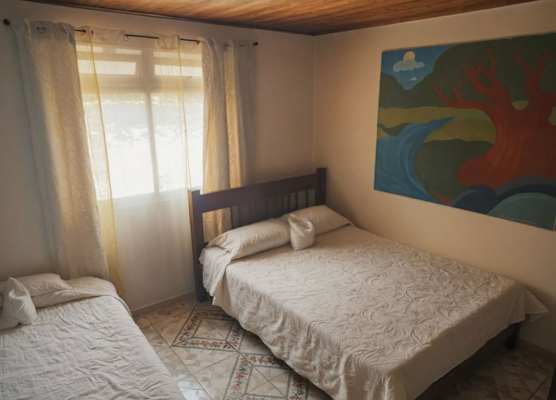 Monteverde Monkey Hostel 1