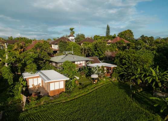 Grün Ubud 1