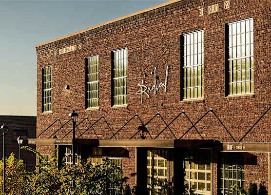 The Radical Asheville, Tapestry Collection by Hilton 1