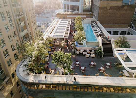 Kimpton MARGOT SYDNEY by IHG 1