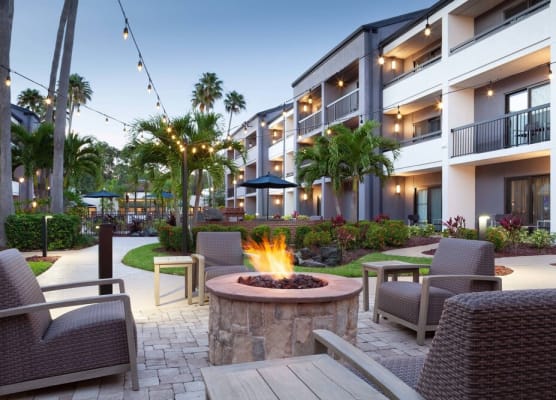Courtyard St. Petersburg Clearwater 1