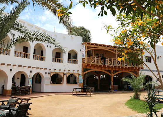 Dahab Divers 1
