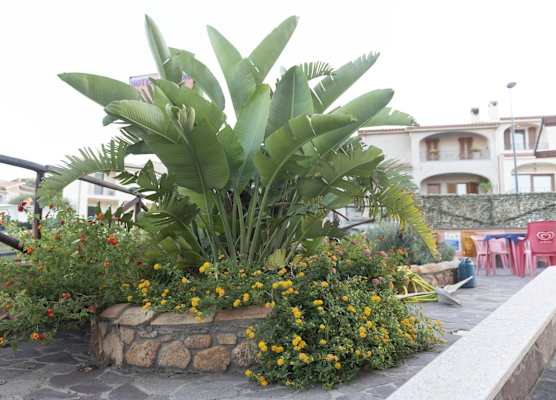 Hotel Jasmine 1