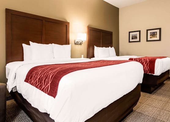 Comfort Inn & Suites Streetsboro - Kent 1