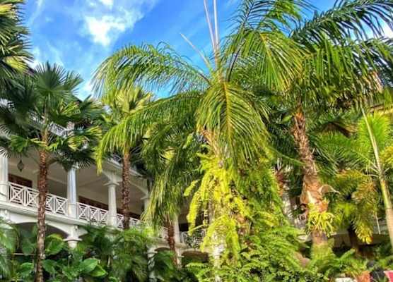 OK Divers Resort & Spa 1