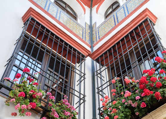 Apartamentos Los Patios de la Judería 1