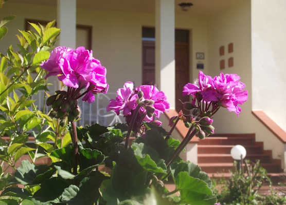 B&B Villa Sabrina 1