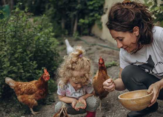 B&B Naturin - Vegan Eco Farm 1