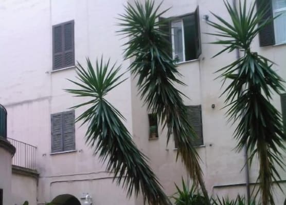 Roma Prince Inn accommodation 1