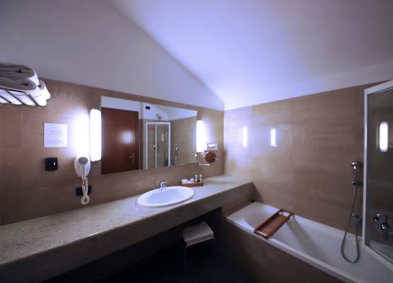 Monica Hotel Fiera 1