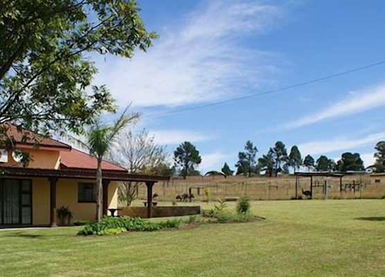 Mountain View Guest House 1