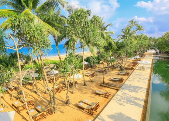 Pandanus Beach Resort & Spa 1