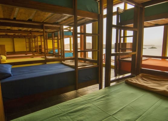 One Tree Hill - Hostel 1