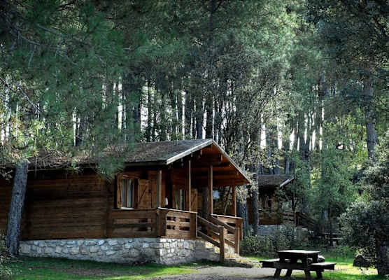 Cabañas Llano de los Conejos 1