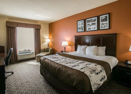Sleep Inn & Suites Hwy 290-NW Freeway 1