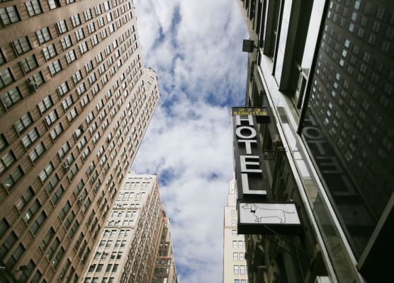 Doxie Hotel 1