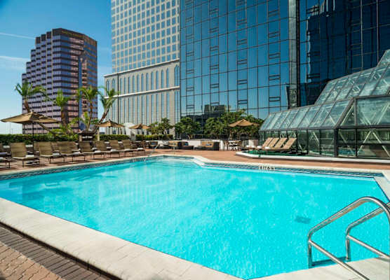 Hilton Tampa Downtown 1