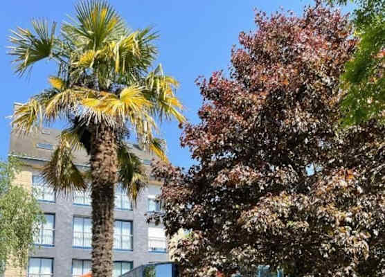 Hotel Arcantis Le Voltaire 1