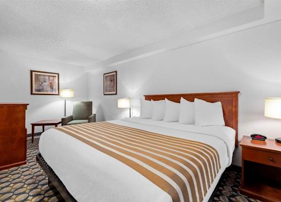 Best Western Vista Inn at the Airport 1