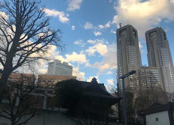 Tokyo shinjukutei Hotel Asahi gruop 東京新宿亭ホテル 1