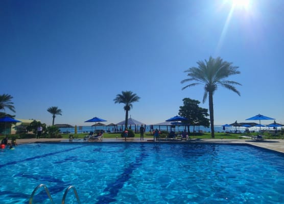 Flamingo Beach Hotel 1