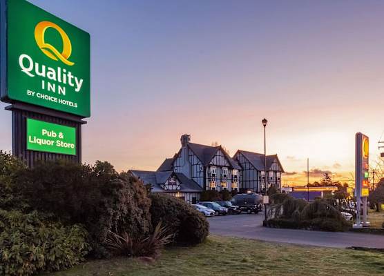Quality Inn Waddling Dog 1