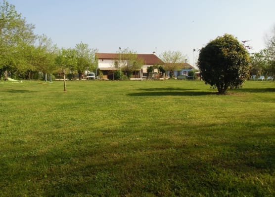 Agriturismo il Podere Vedelago con San Bernardo, Alpaca e una Pentola di cose da scoprire 1