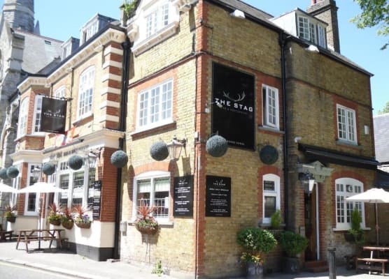 The Stag Enfield 1