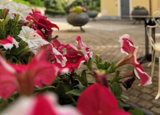 Casale Milleseicento 1