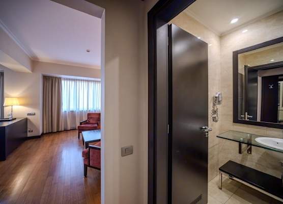 Hotel Rivo Timisoara 1