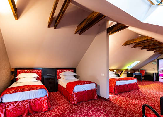 Hotel Central Park Sighisoara 1