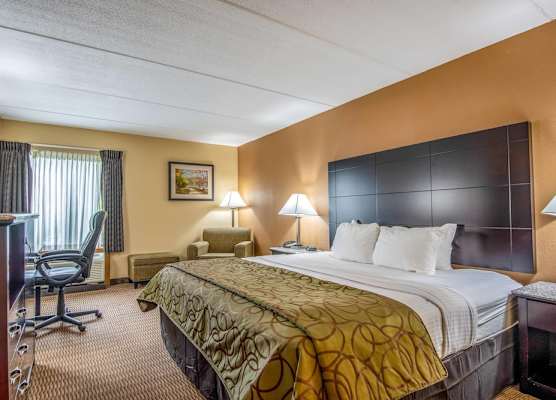 Quality Inn Tully I-81 1