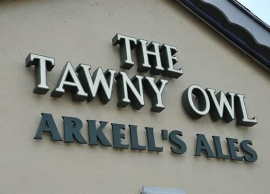 The Tawny Owl 1