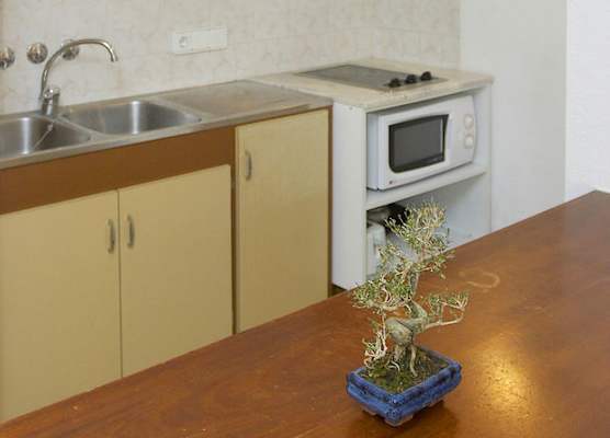 Apartamentos Bon Lloc 1
