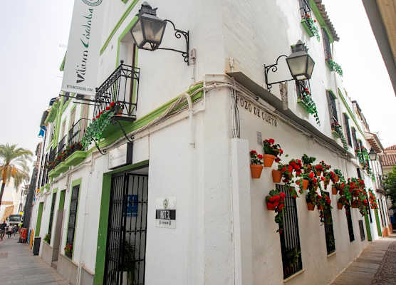 Vitium Córdoba 1