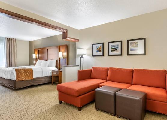 Comfort Suites Grand Rapids North 1